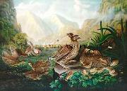 Robert Havell Jr Prints Pinnated Grouse Germany oil painting reproduction
